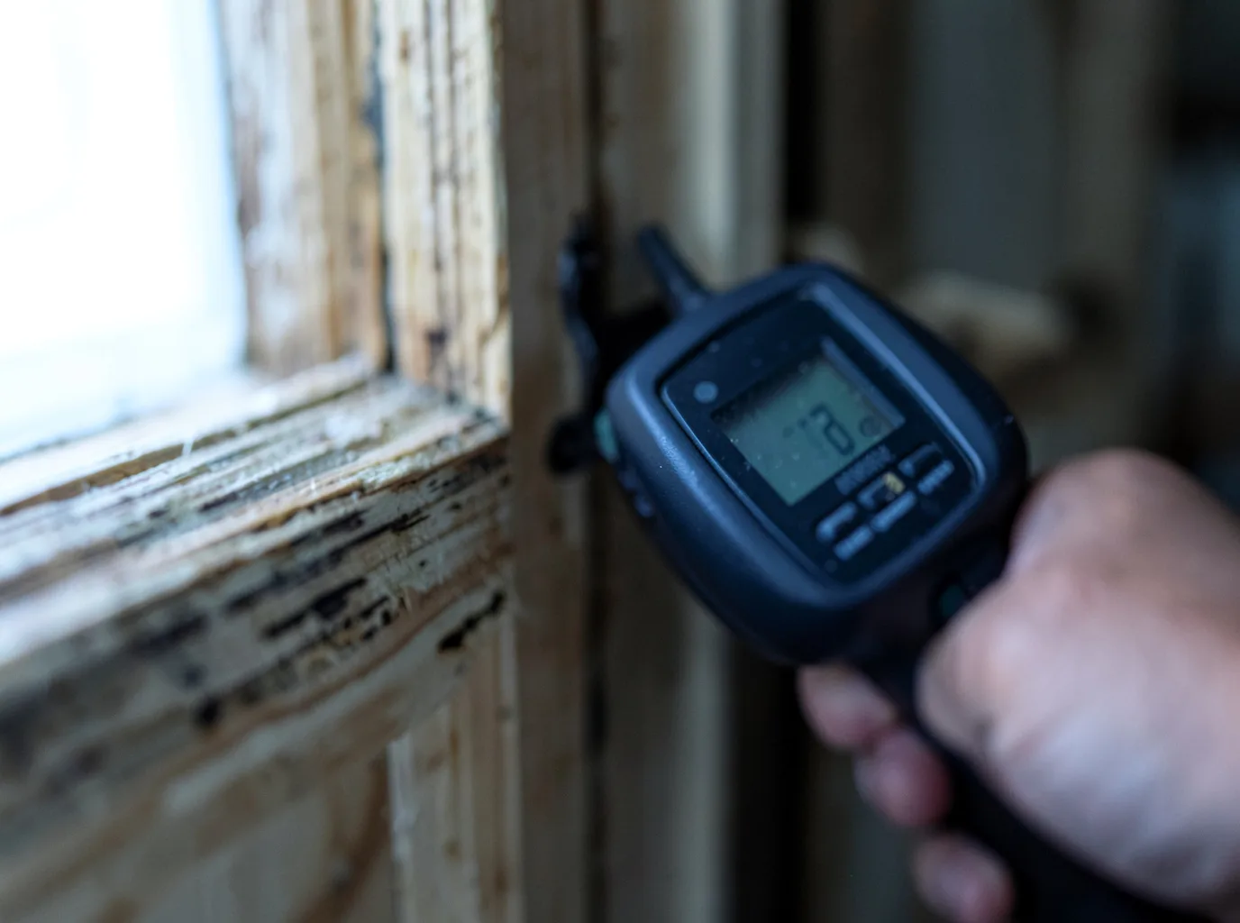 Moisture Inspection And Documentation in Cades, SC